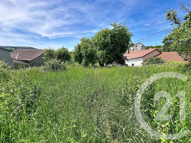 terrain à vendre - 753.0 m2 - HUMES JORQUENAY - 52 - CHAMPAGNE-ARDENNE - Century 21 Agence Diderot