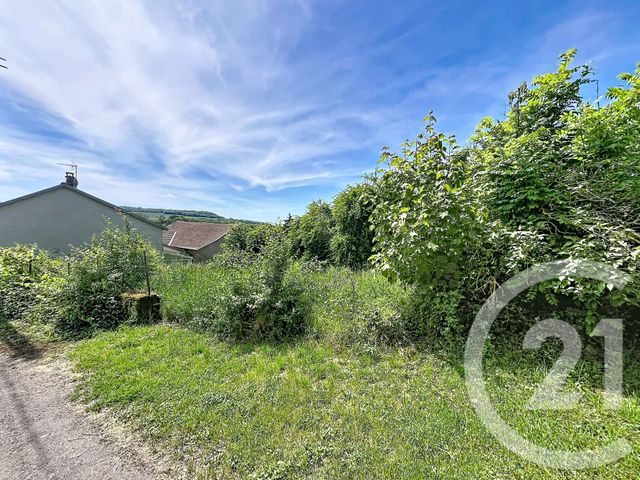 terrain à vendre - 753.0 m2 - HUMES JORQUENAY - 52 - CHAMPAGNE-ARDENNE - Century 21 Agence Diderot